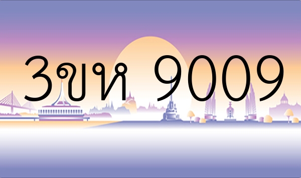 3ขห 9009
